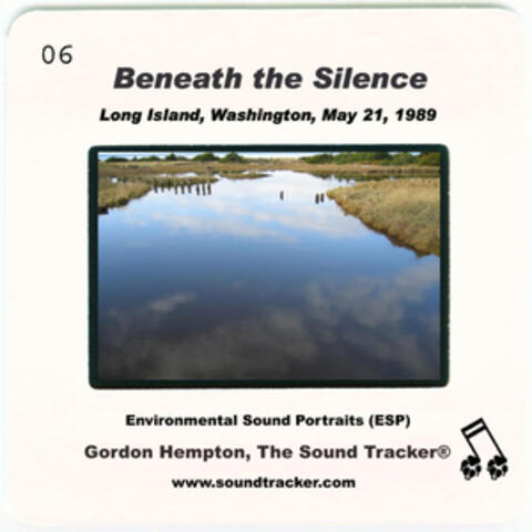 Beneath the Silence