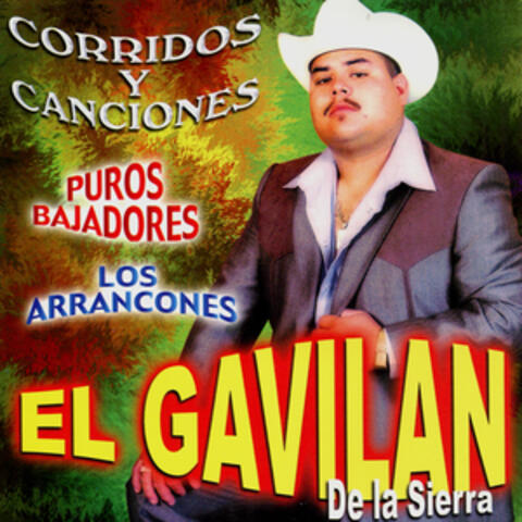 Corridos y Canciones
