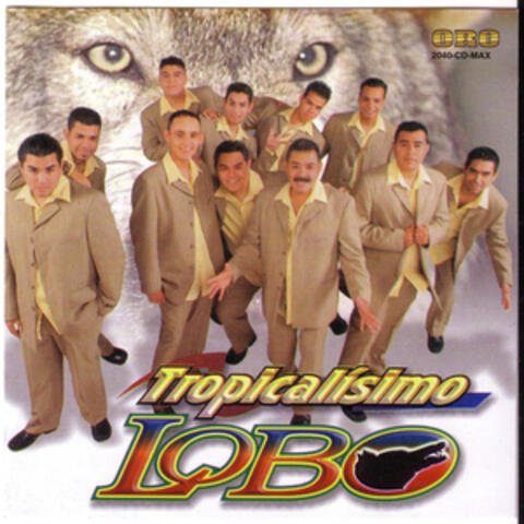 Lobo al 100 por ciento