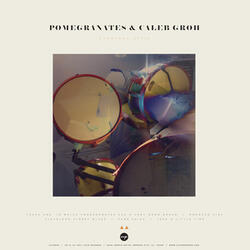Track One, In Which Pomegranates Has A Very Good Dream
