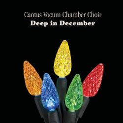 Christmas In the Trenches (feat. Cantus Vocum Chamber Choir)