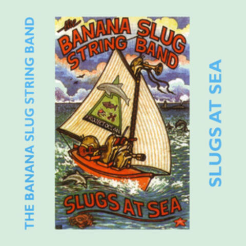 Slugs At Sea
