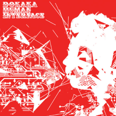 Dokaka