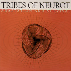 Adaptation And Survival