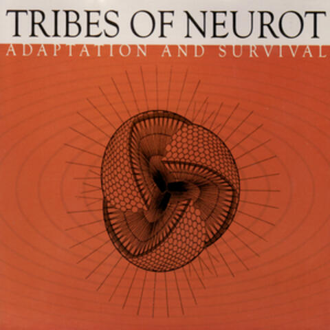 Adaptation And Survival