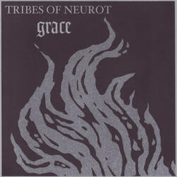 Grace 7