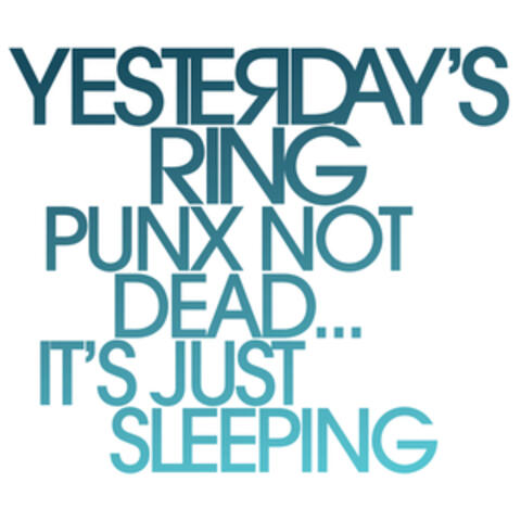 Punx Not Dead...It's Just Sleeping