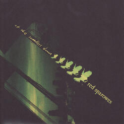 The Sixth Extinction Crept Up Slowly, Like The Sunlight Through The Shutters, As We Looked Back In Regret