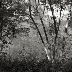 Chasing Ghosts