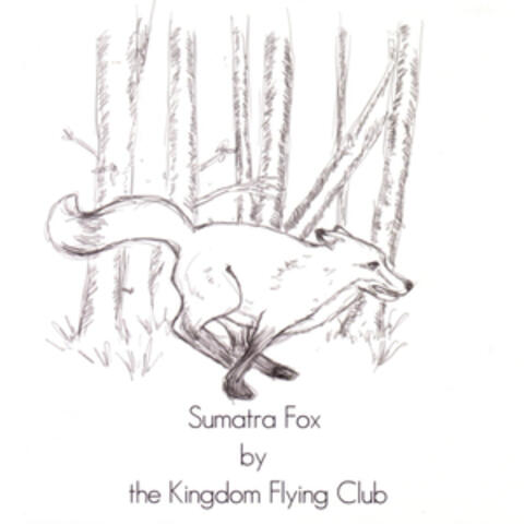Sumatra Fox