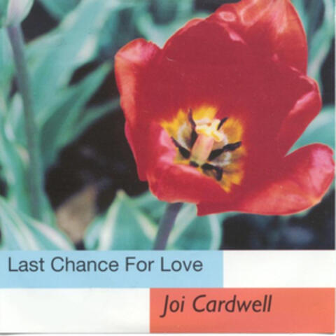 Last Chance For Love
