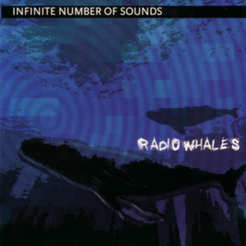 Radio Whales