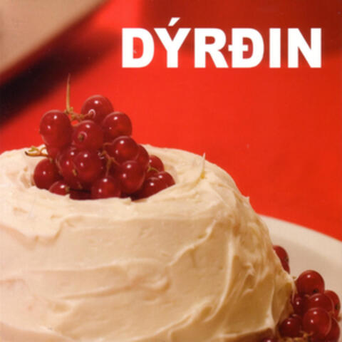 Dýrdin