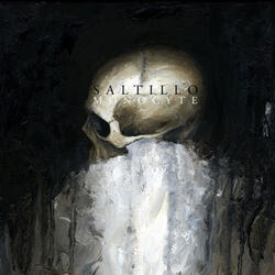 Veil