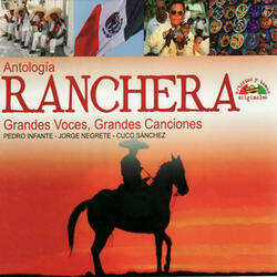 Nuestro Gran Amor