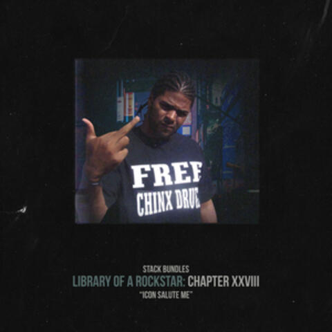 Library of a Rockstar: Chapter 28 - Icon Salute Me