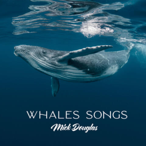 Whales Songs