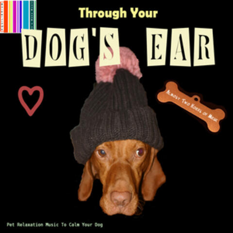 Through Your Dog's Ear