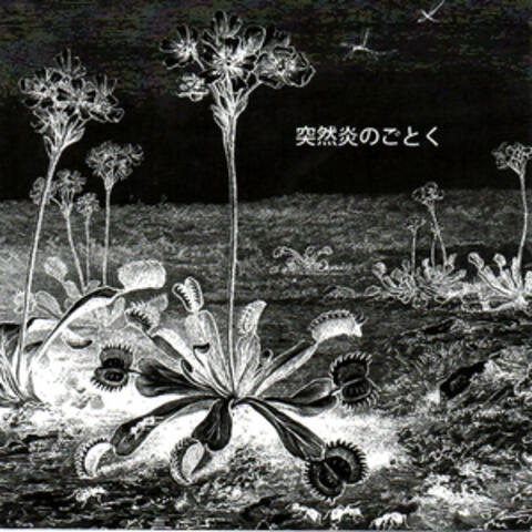 LSD-March