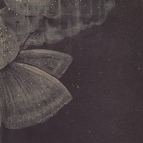 Crestfallen