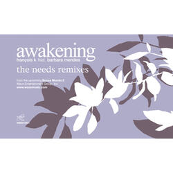 Awakening (feat. Barbara Mendes)