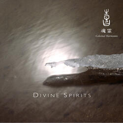 The Light Of The Spirit