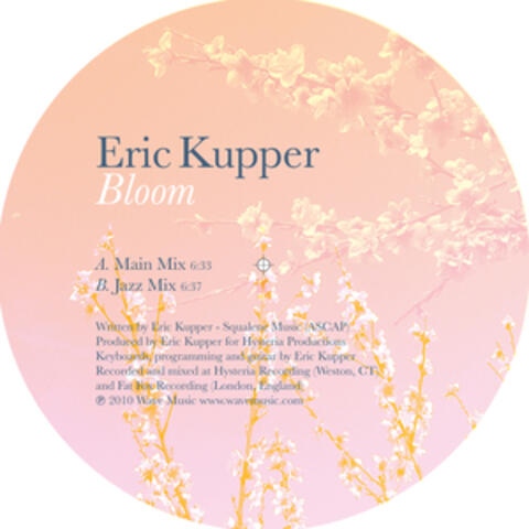 Bloom