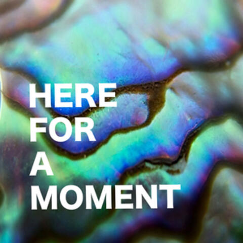 Here for a Moment