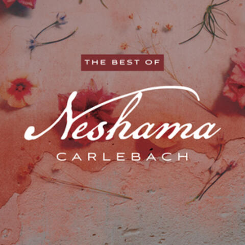 The Best of Neshama Carlebach