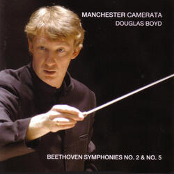 Symphony No. 2 In D Major, Op. 36: II. Larghetto