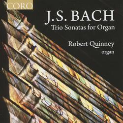 Organ Sonata No. 5 in C Major, BWV 529: II. Largo