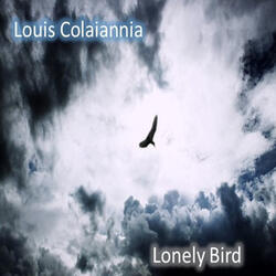 Lonely Bird