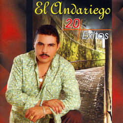 La Disculpita