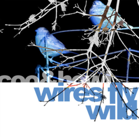 Wires Fly Wild