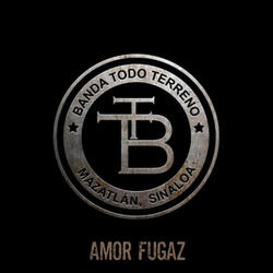 Amor Fugaz