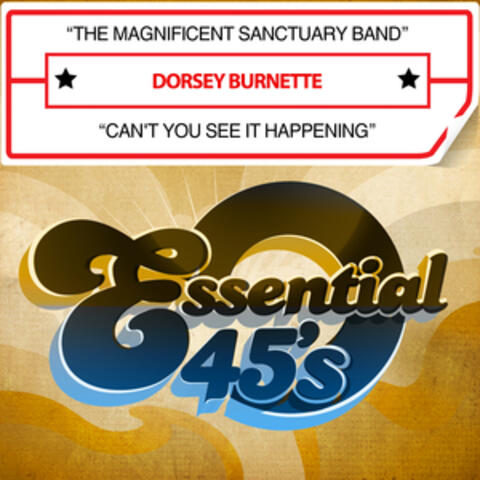 The Magnificent Sanctuary Band / Can't You See It Happening (Digital 45)
