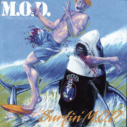 Surf's Up