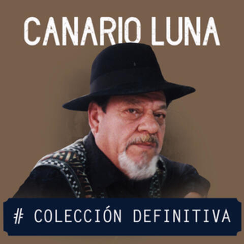 Colección Definitiva
