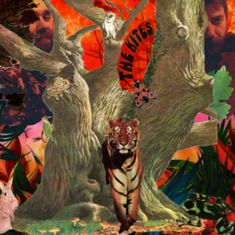 New Generation Jungle
