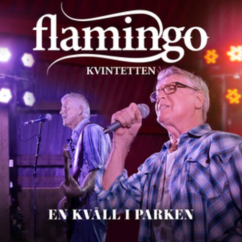 En Kväll I Parken