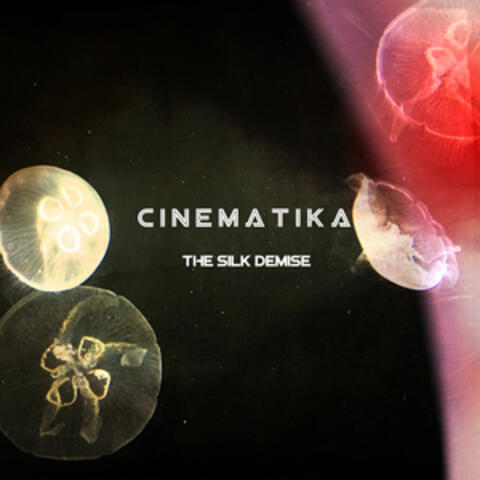 Cinematika