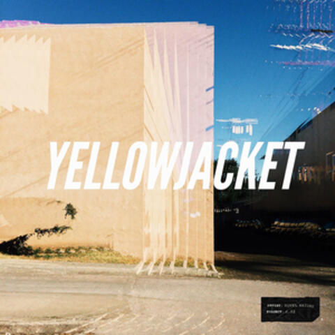Yellowjacket