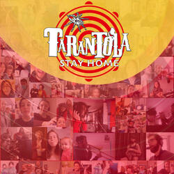 Stay Home