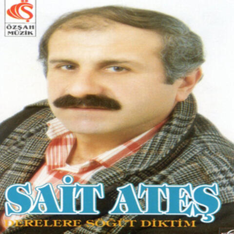 Derelere Söğüt Diktim