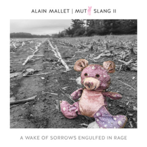 Alain Mallet