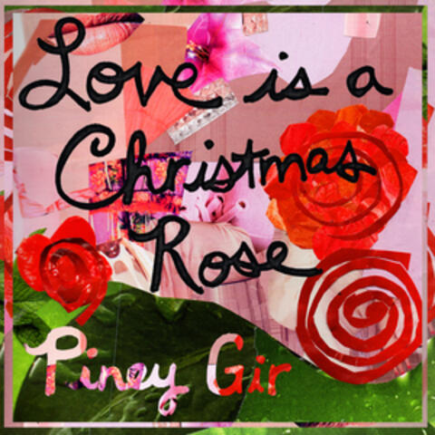 Love is a Christmas Rose