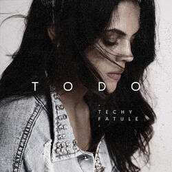 Todo