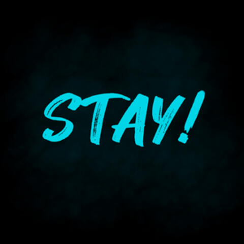 Stay!