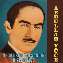 Ne Olurdu Kalsaydın Dizlerimde