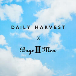 Daily Harvest